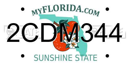 2CDM344 Florida License Plate