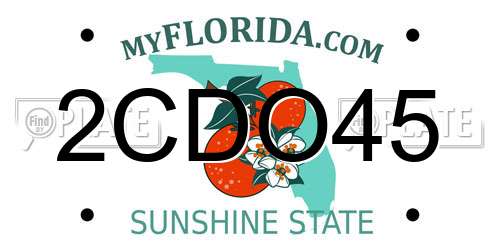 2CDO45 Florida License Plate