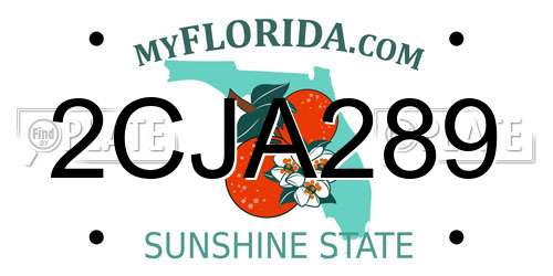 2CJA289 Florida License Plate