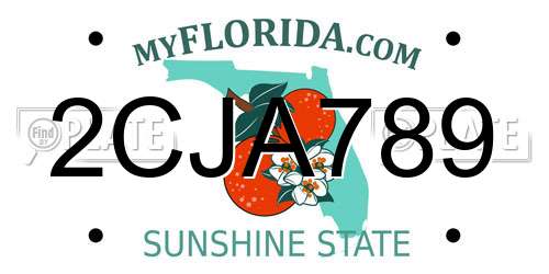 2CJA789 Florida License Plate