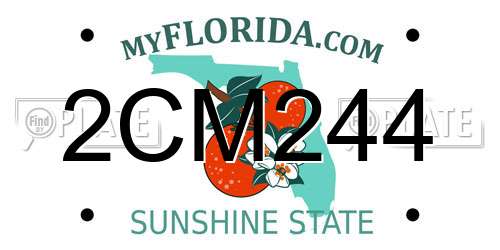 2CM244 Florida License Plate