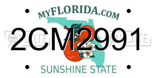 2CM2991 Florida License Plate