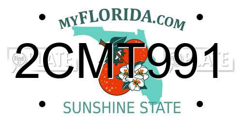 2CMT991 Florida License Plate