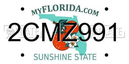 2CMZ991 Florida License Plate
