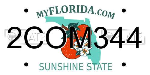 2COM344 Florida License Plate