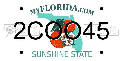 2COO45 Florida License Plate
