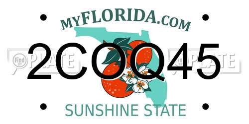2COQ45 Florida License Plate