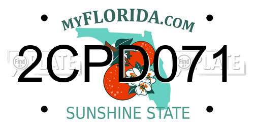 2CPD071 Florida License Plate