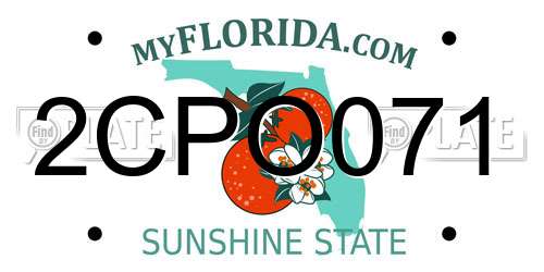 2CPO071 Florida License Plate