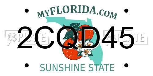 2CQD45 Florida License Plate