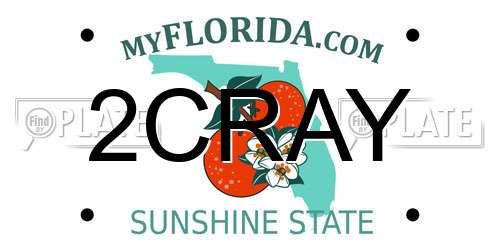 2CRAY Florida License Plate