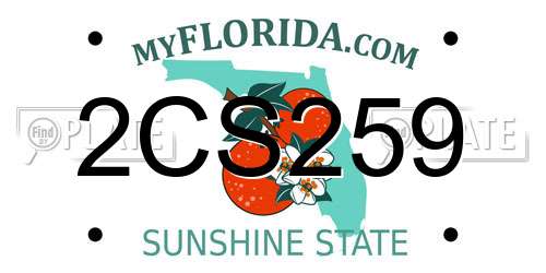 2CS259 Florida License Plate