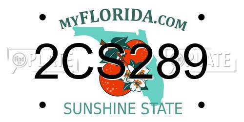 2CS289 Florida License Plate