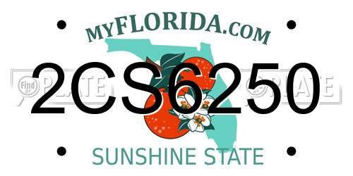 2CS6250 Florida License Plate
