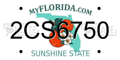 2CS6750 Florida License Plate