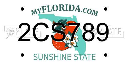 2CS789 Florida License Plate