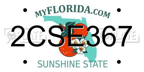 2CSE367 Florida License Plate