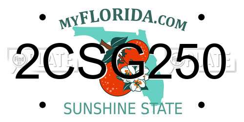 2CSG250 Florida License Plate