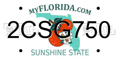 2CSG750 Florida License Plate