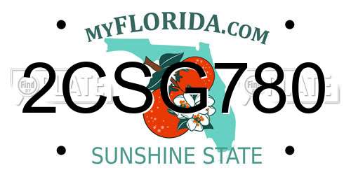 2CSG780 Florida License Plate