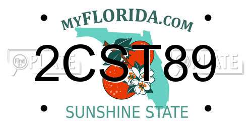 2CST89 Florida License Plate