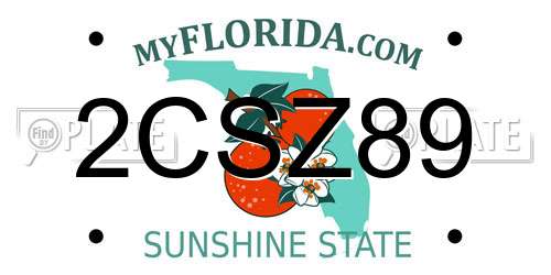 2CSZ89 Florida License Plate