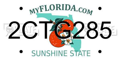 2CTG285 Florida License Plate