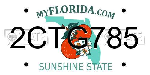 2CTG785 Florida License Plate