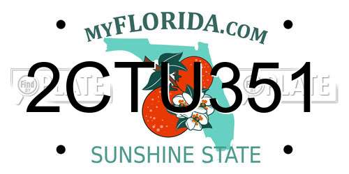 2CTU351 Florida License Plate
