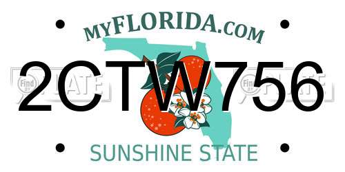 2CTW756 Florida License Plate