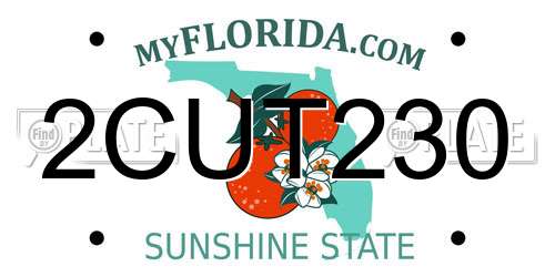 2CUT230 Florida License Plate
