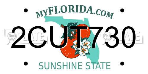 2CUT730 Florida License Plate