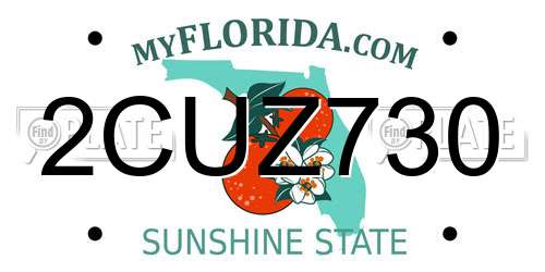 2CUZ730 Florida License Plate