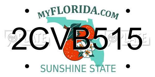 2CVB515 Florida License Plate