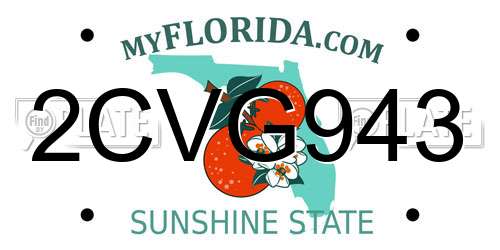 2CVG943 Florida License Plate