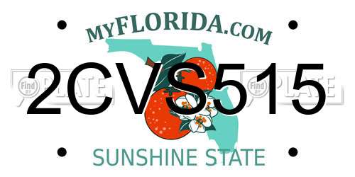 2CVS515 Florida License Plate