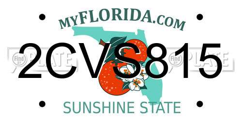 2CVS815 Florida License Plate