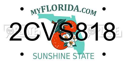 2CVS818 Florida License Plate