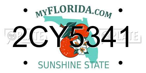 2CY5341 Florida License Plate