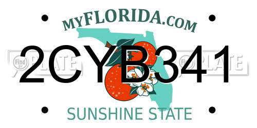 2CYB341 Florida License Plate