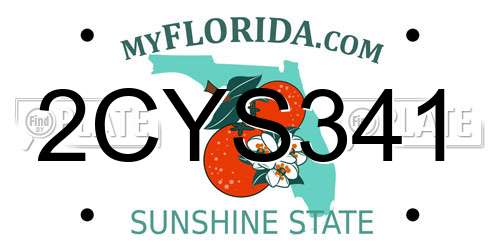 2CYS341 Florida License Plate