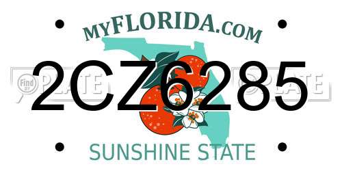 2CZ6285 Florida License Plate