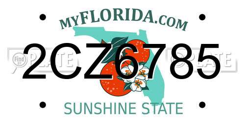2CZ6785 Florida License Plate