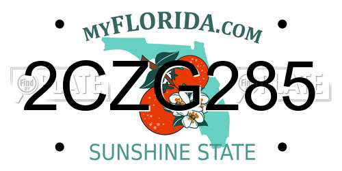 2CZG285 Florida License Plate