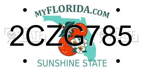2CZG785 Florida License Plate
