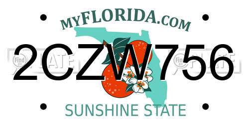 2CZW756 Florida License Plate