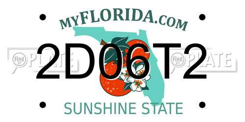 2D06T2 Florida License Plate