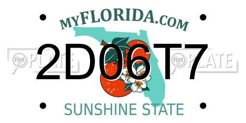 2D06T7 Florida License Plate