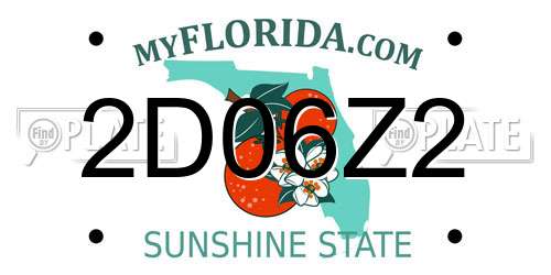 2D06Z2 Florida License Plate