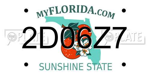 2D06Z7 Florida License Plate